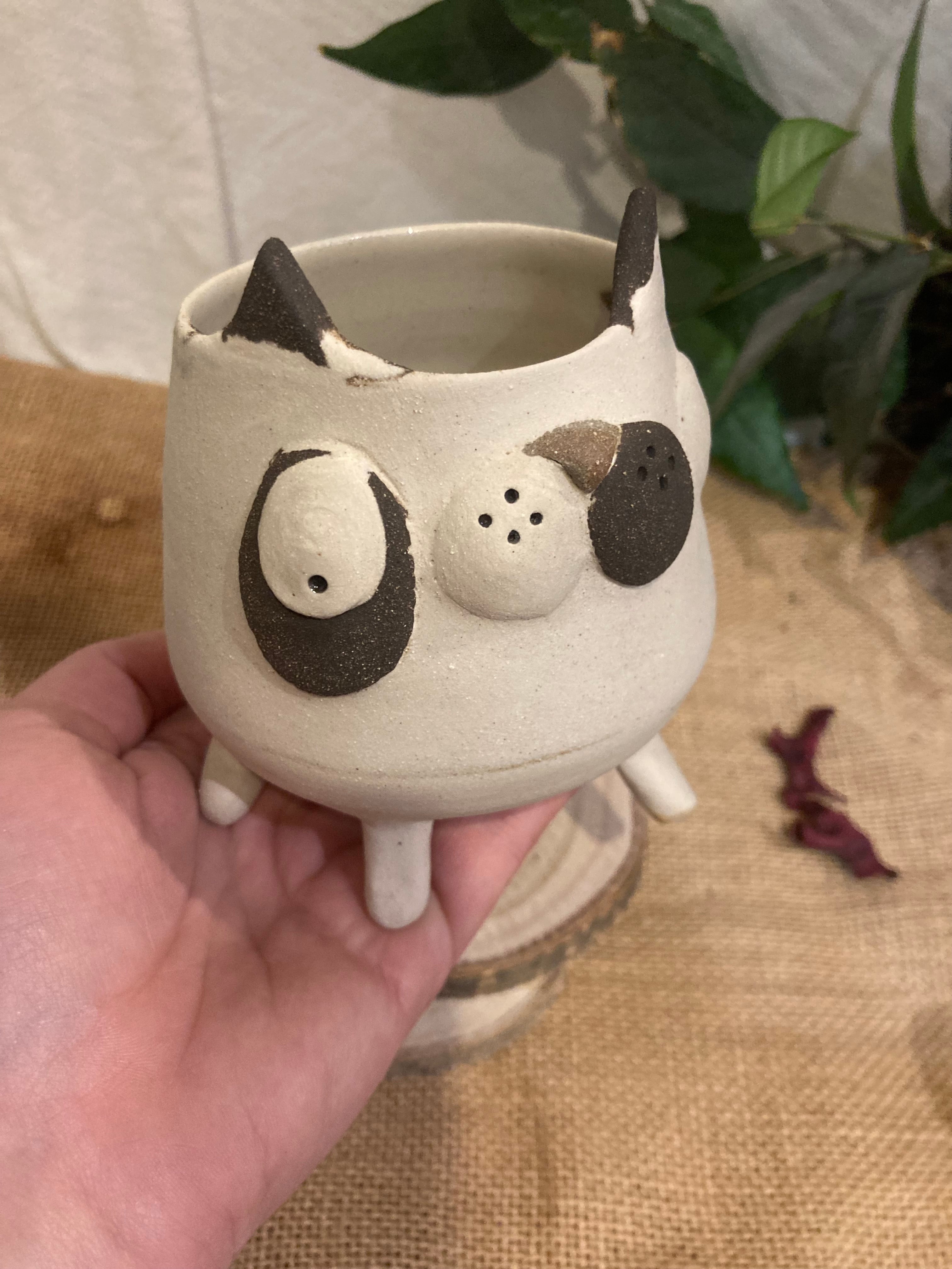 Tasse mimi chat bicolore noir et blanc 🐱