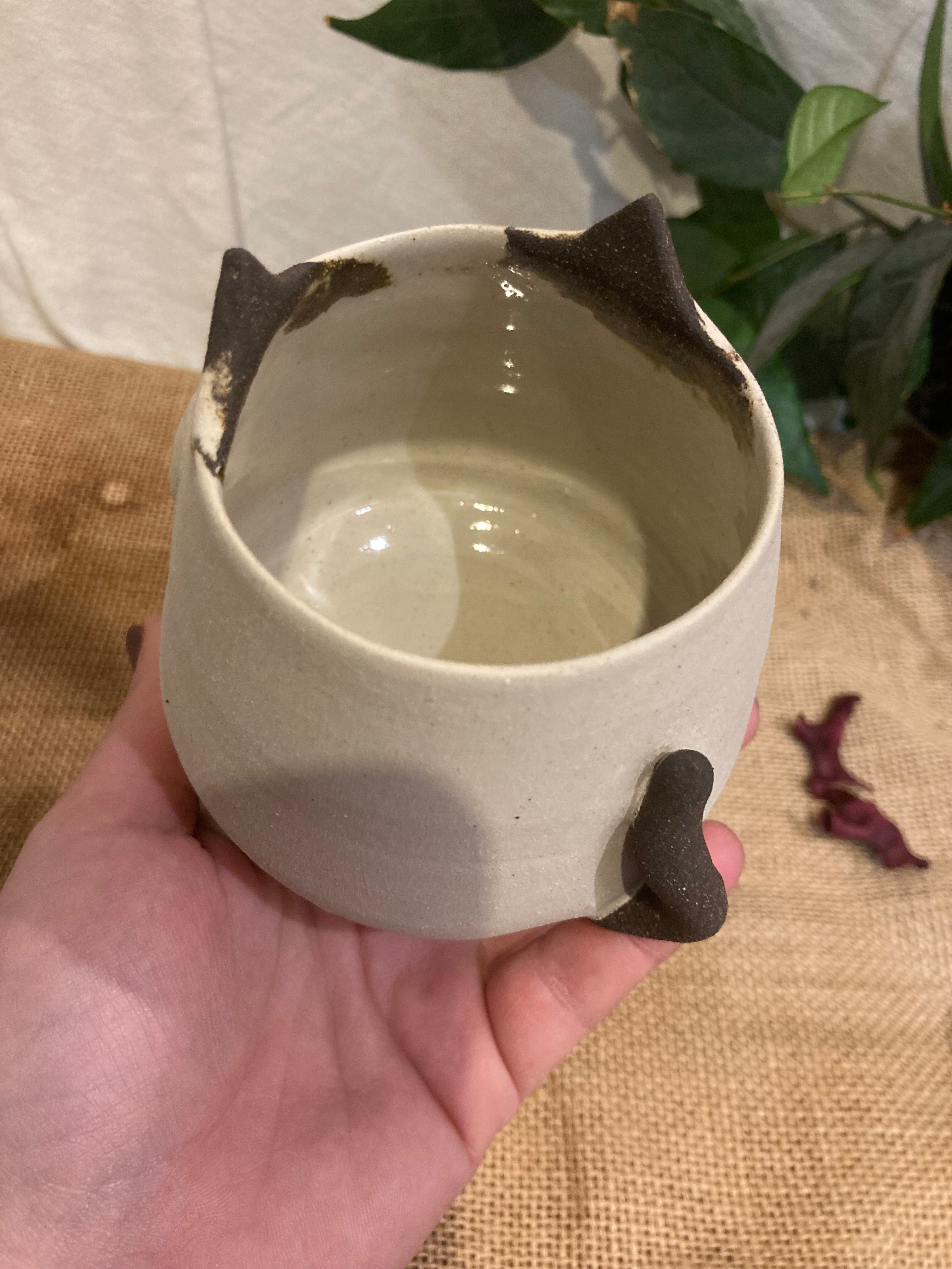 Tasse mimi chat bicolore noir et blanc 🐱