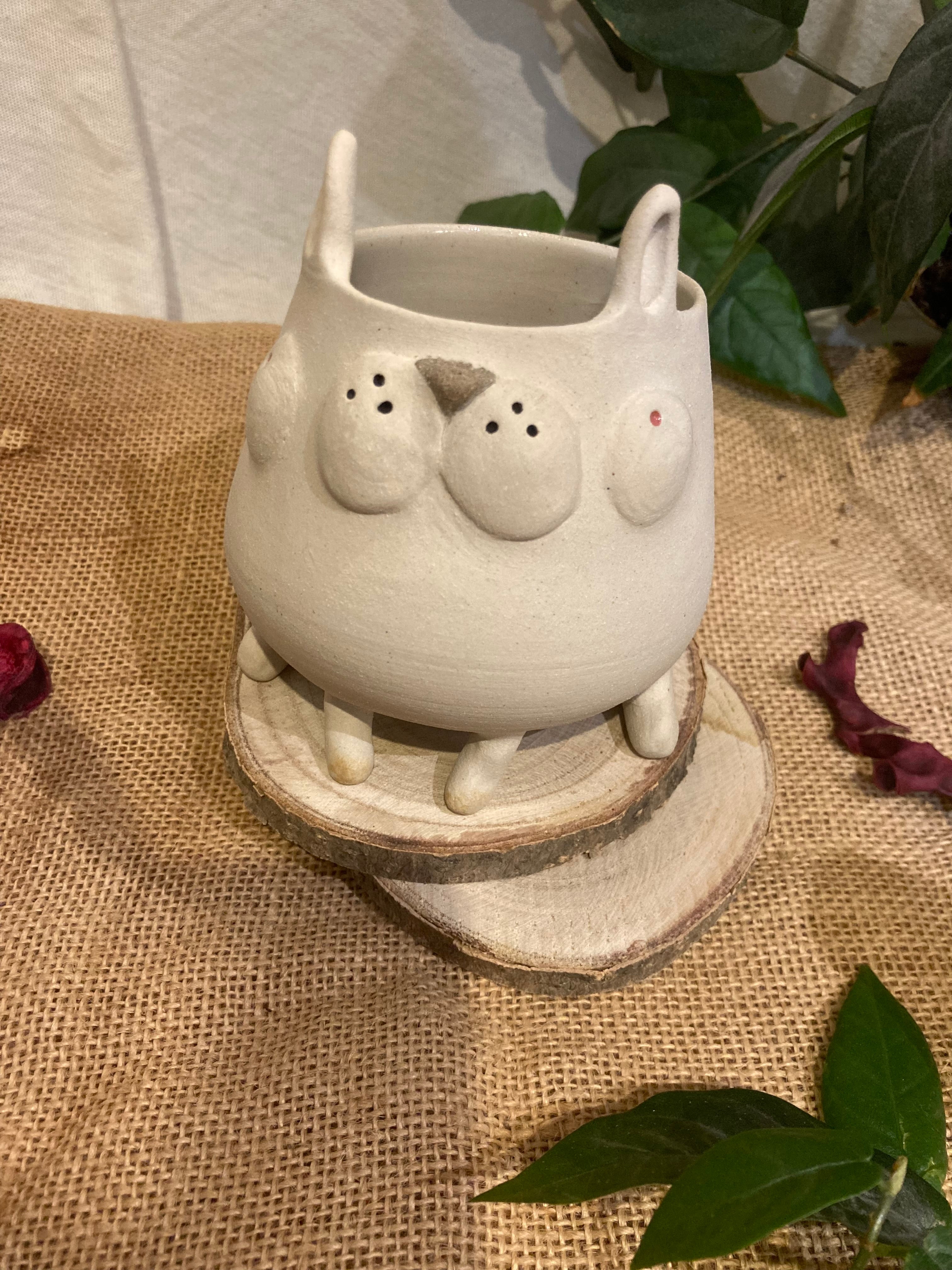 Tasse mimi lapin albinos 3 🐰