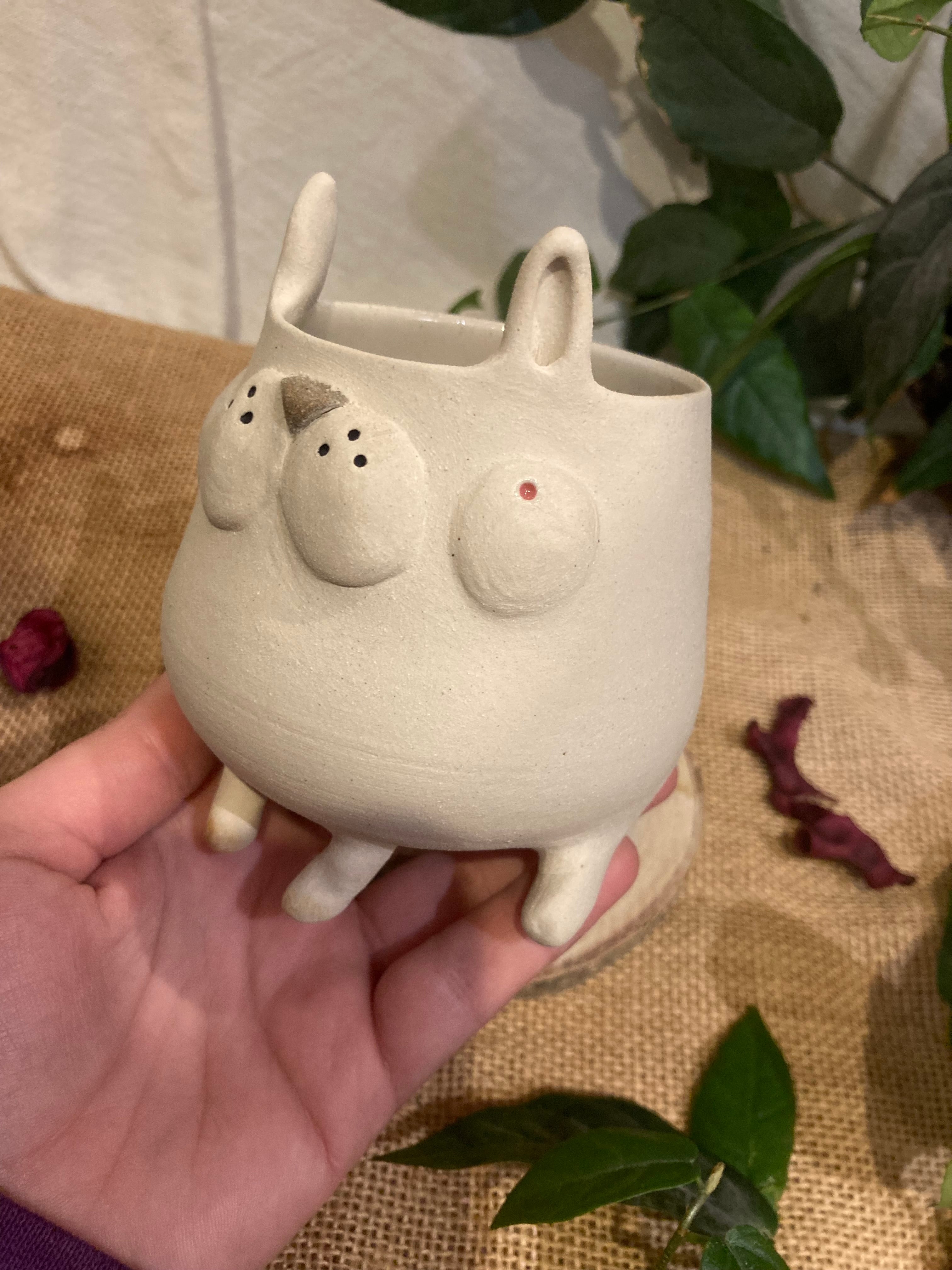 Tasse mimi lapin albinos 3 🐰