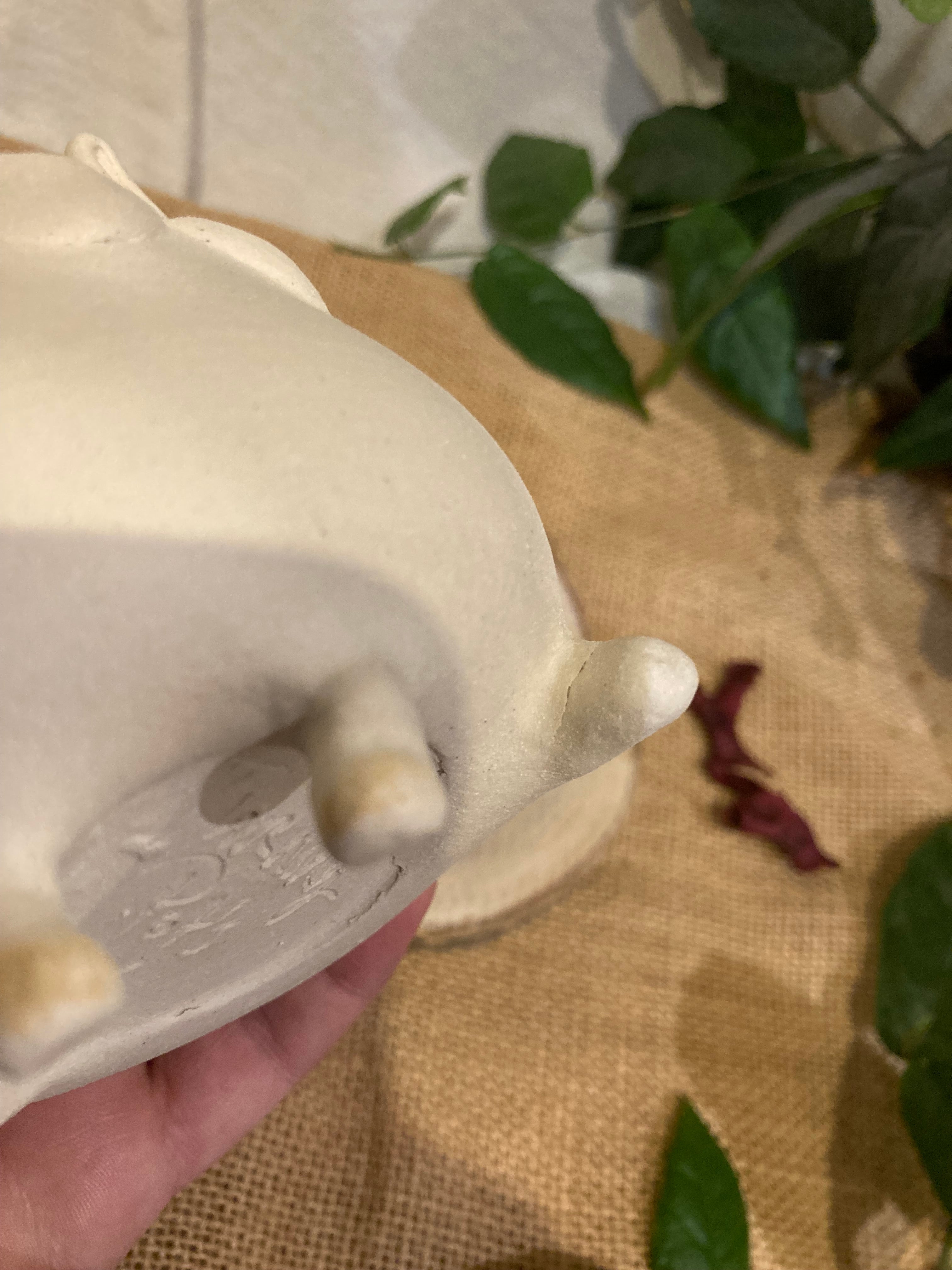 Tasse mimi lapin albinos 3 🐰