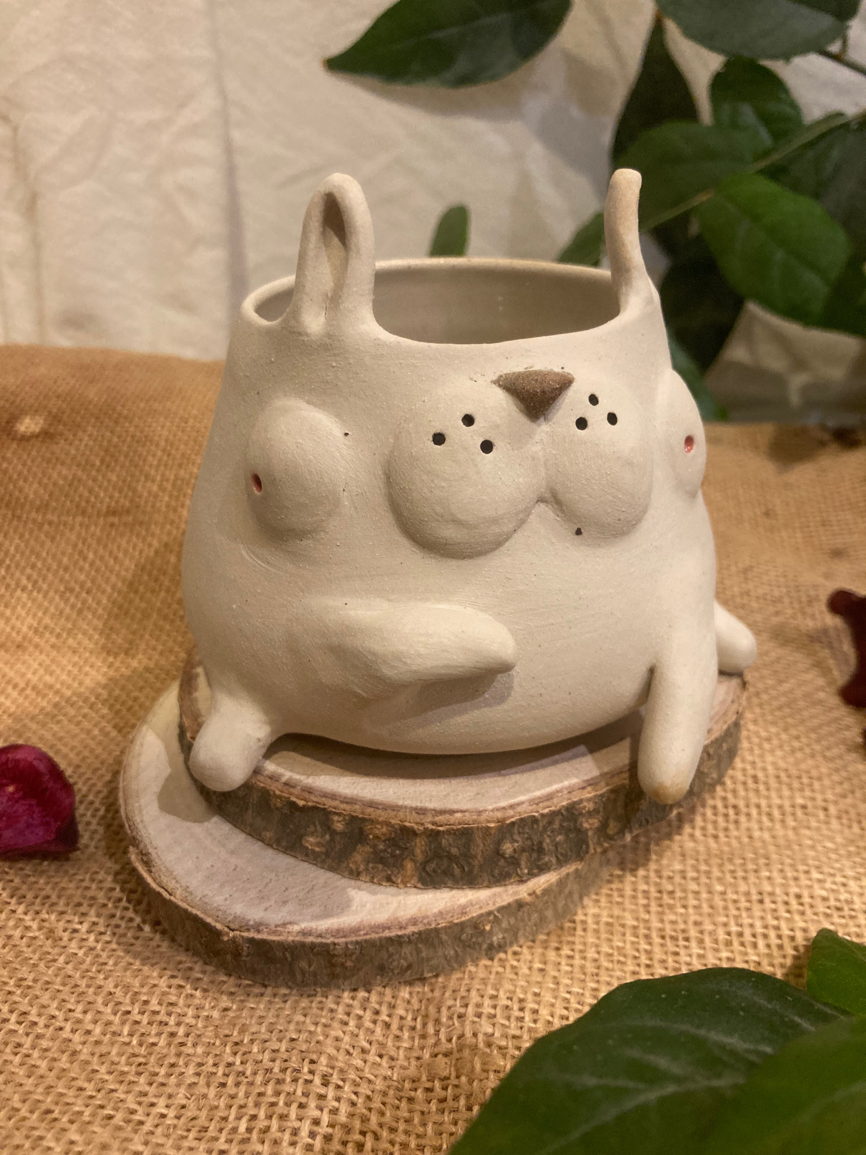 Tasse mimi lapin albinos 🐰