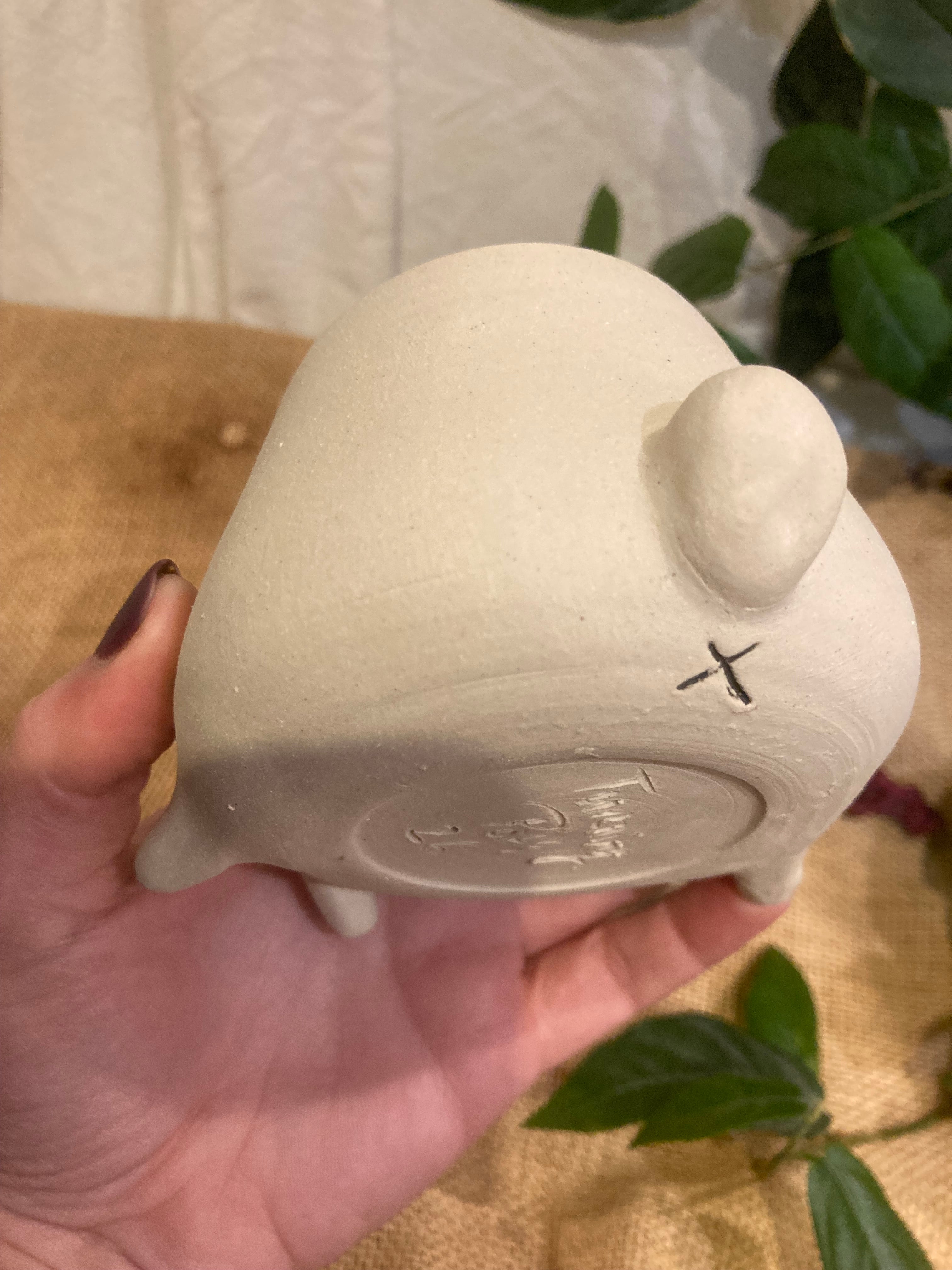 Tasse mimi lapin albinos 🐰