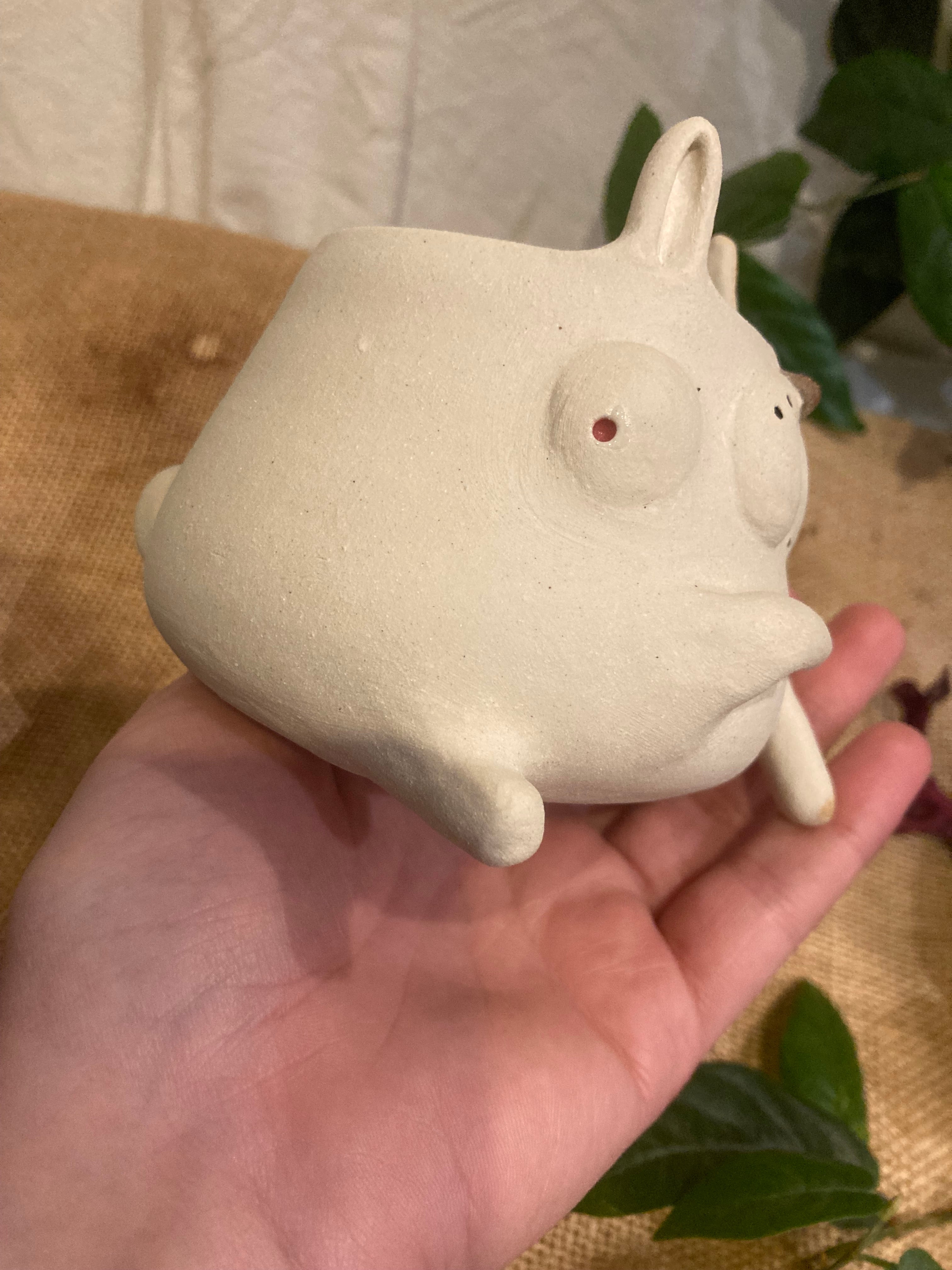 Tasse mimi lapin albinos 🐰