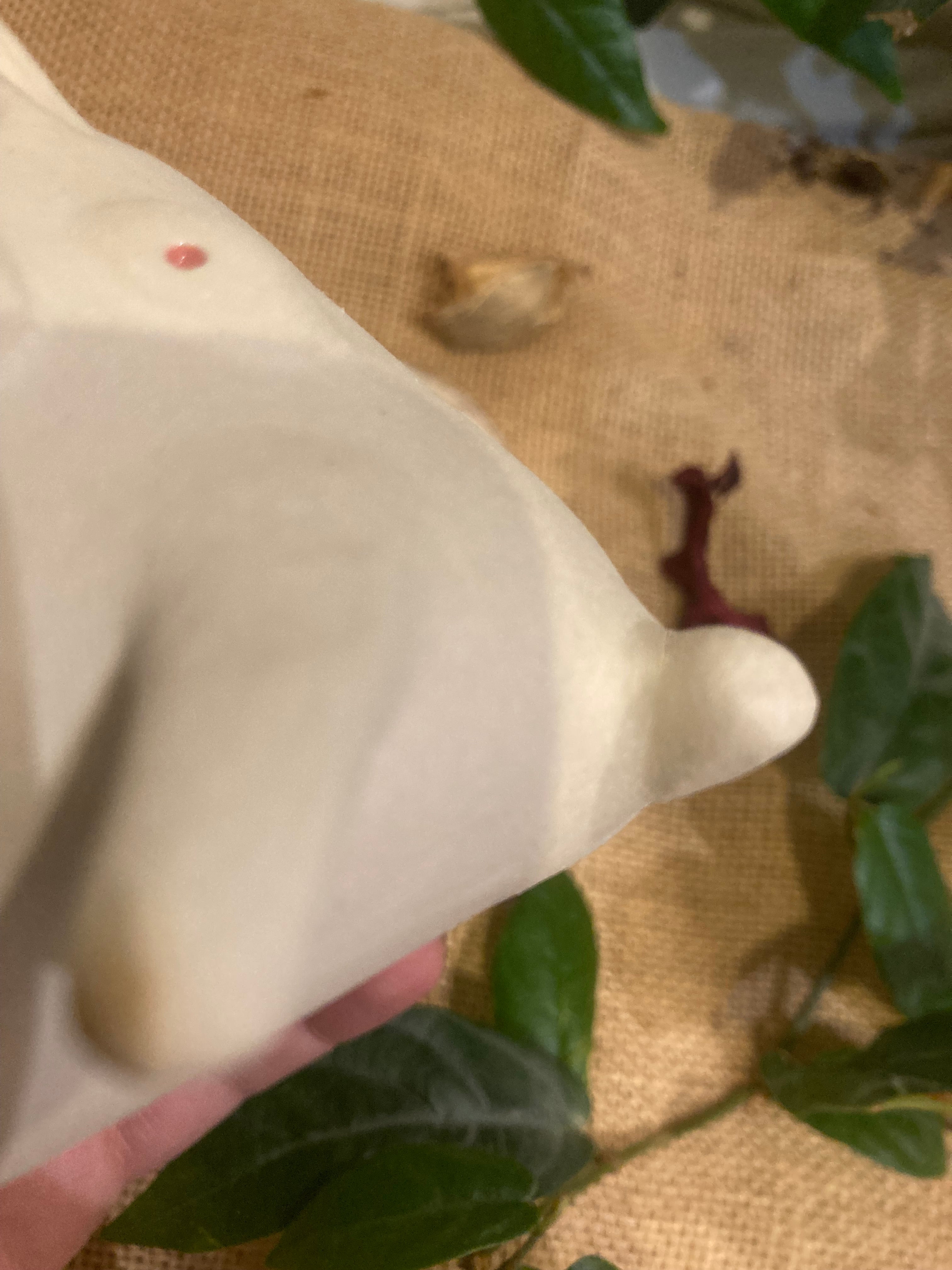 Tasse mimi lapin albinos 🐰