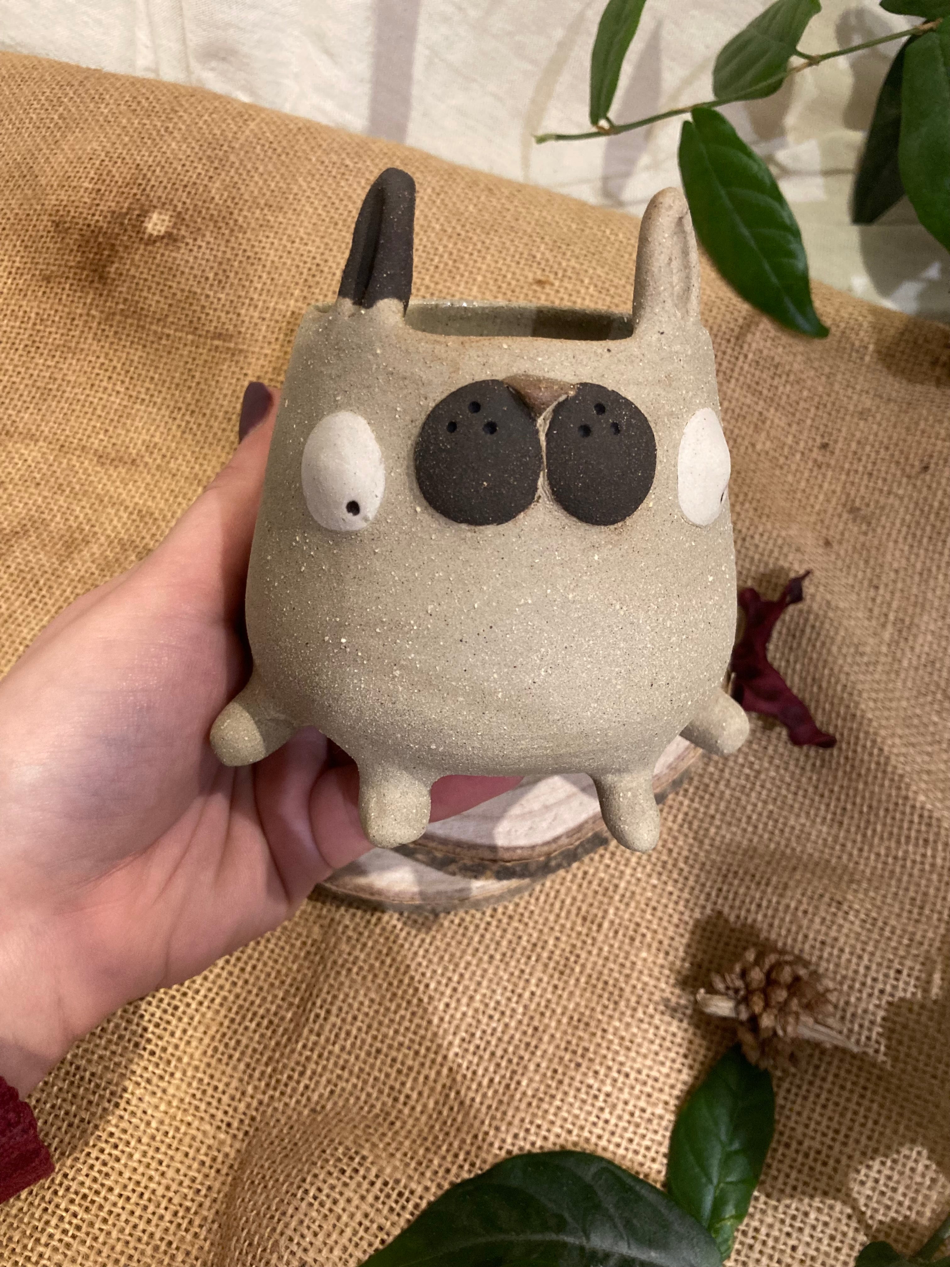 Tasse mimi lapin bicolore 🐰