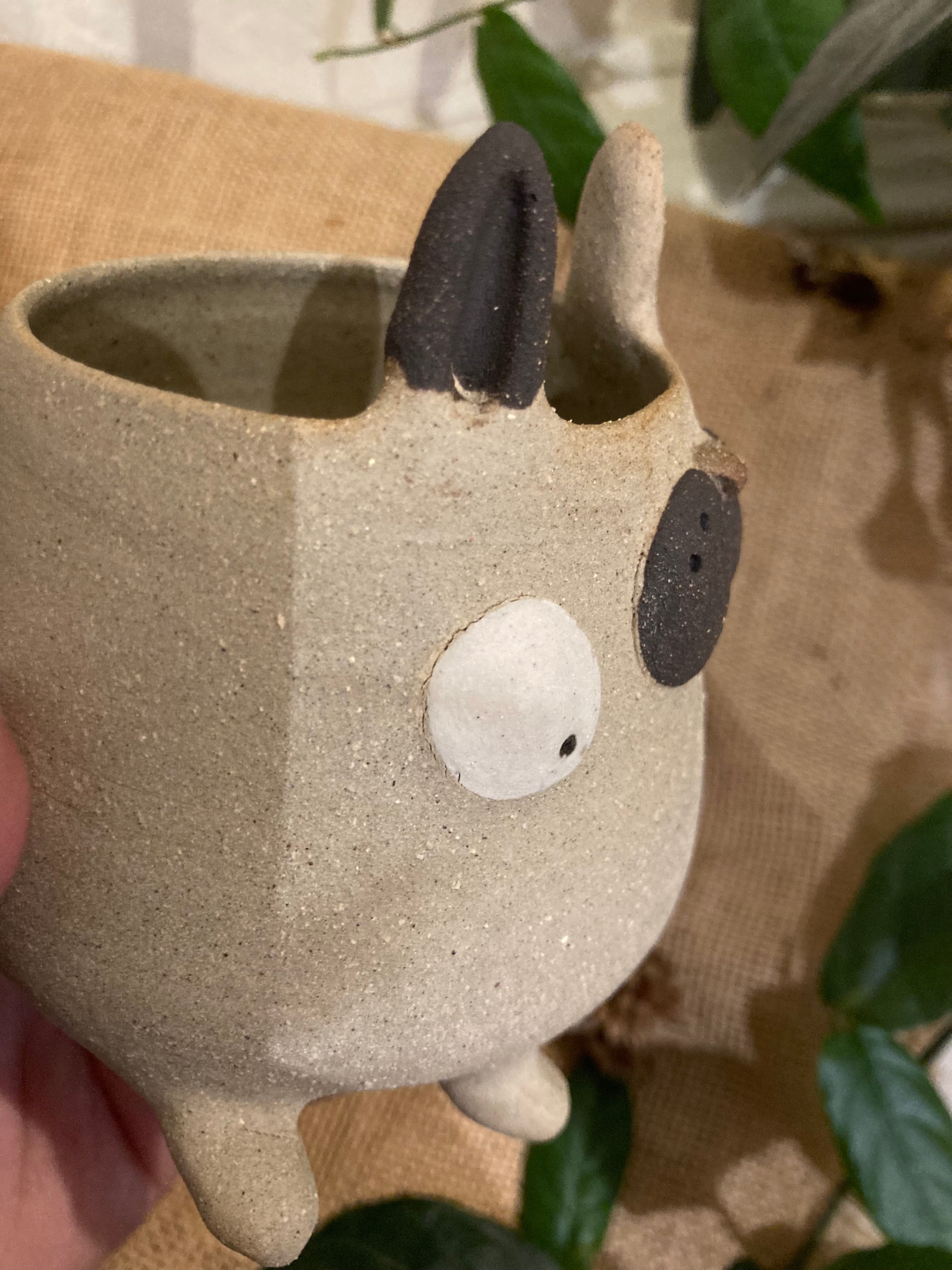 Tasse mimi lapin bicolore 🐰