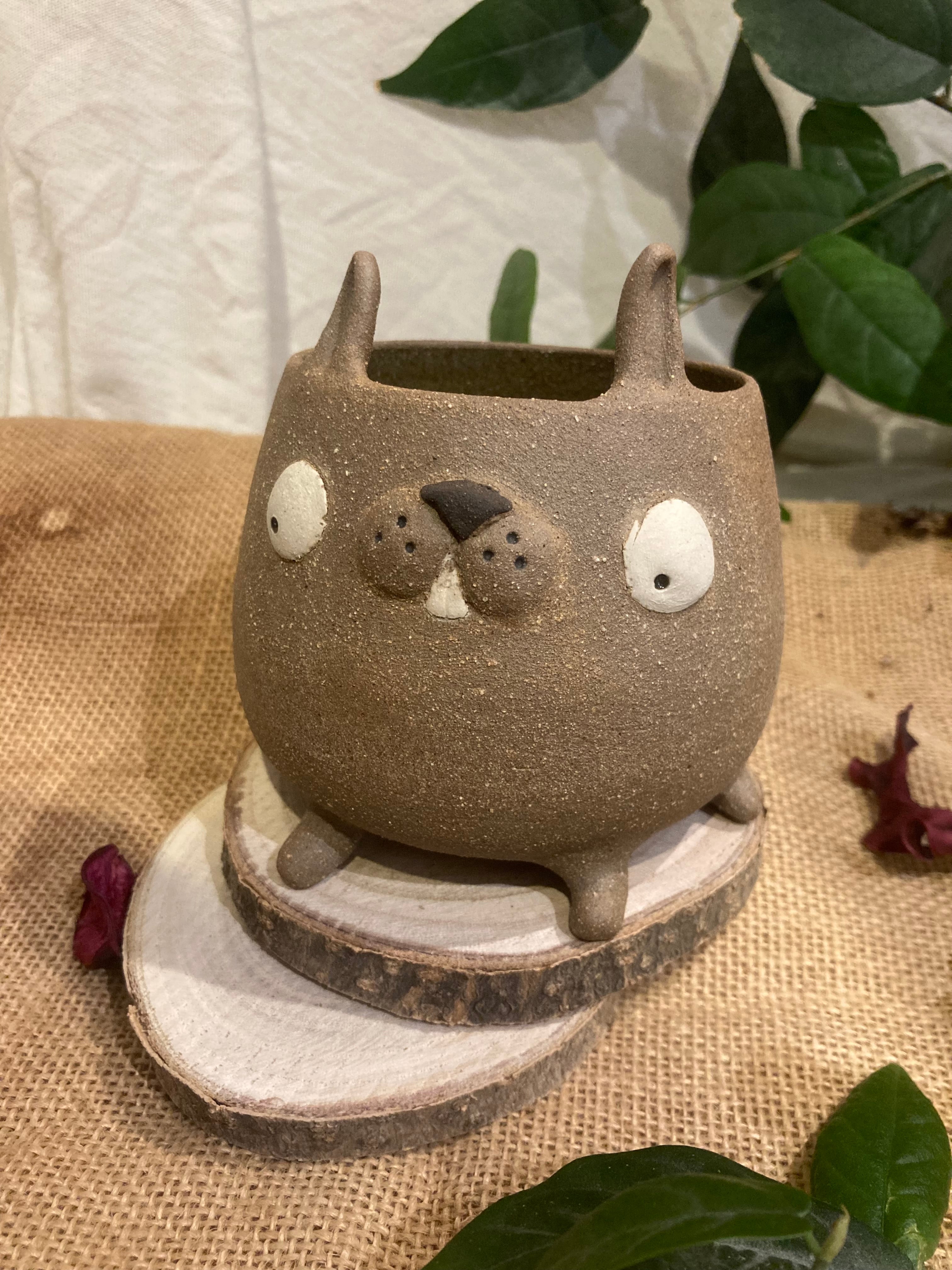 Tasse mimi lapin dodu marron à dents🐰
