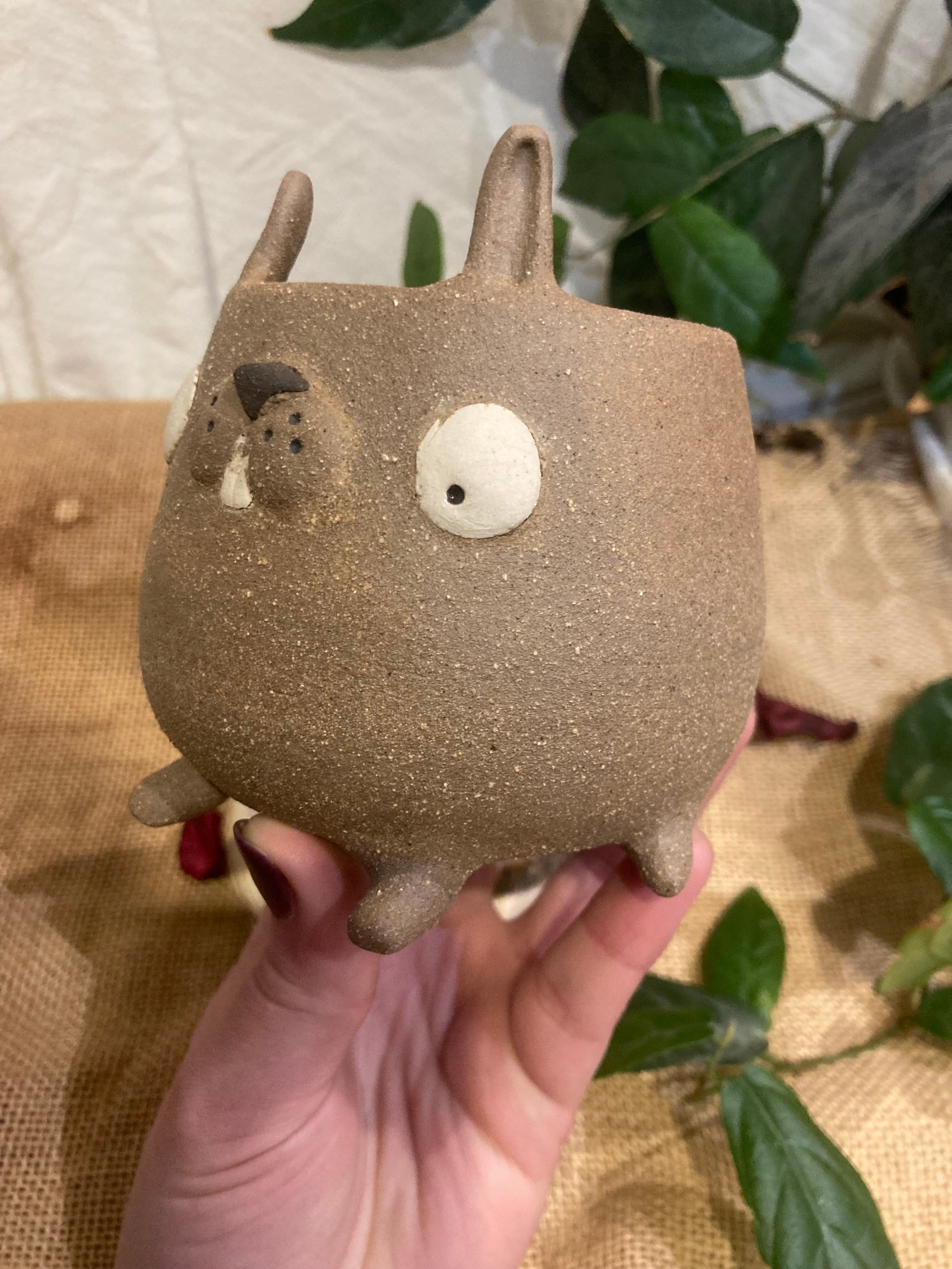 Tasse mimi lapin dodu marron à dents🐰