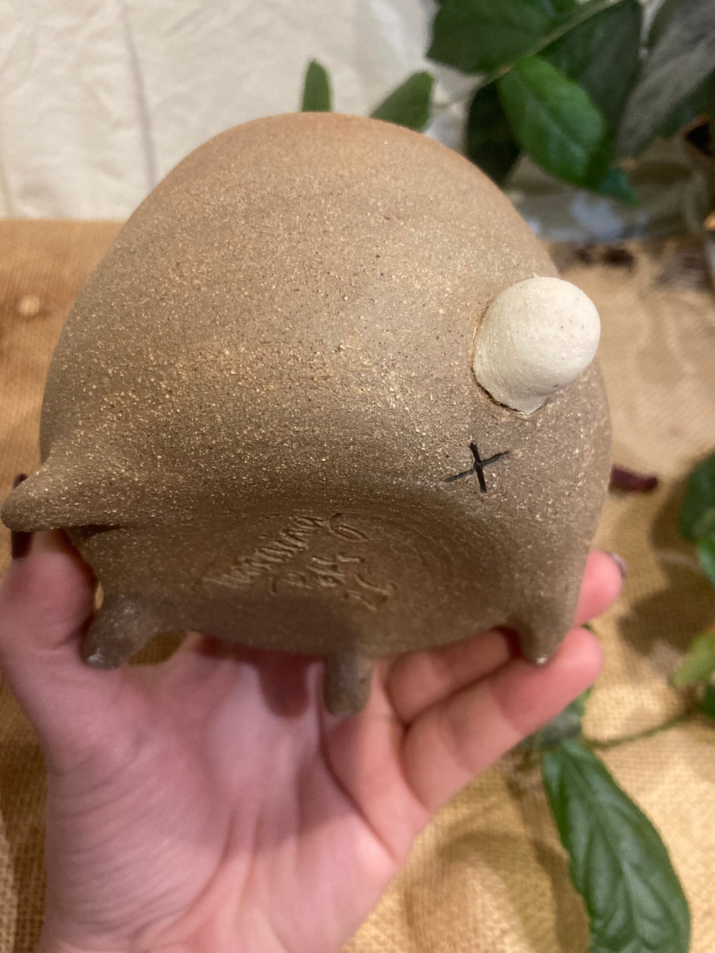 Tasse mimi lapin dodu marron à dents🐰