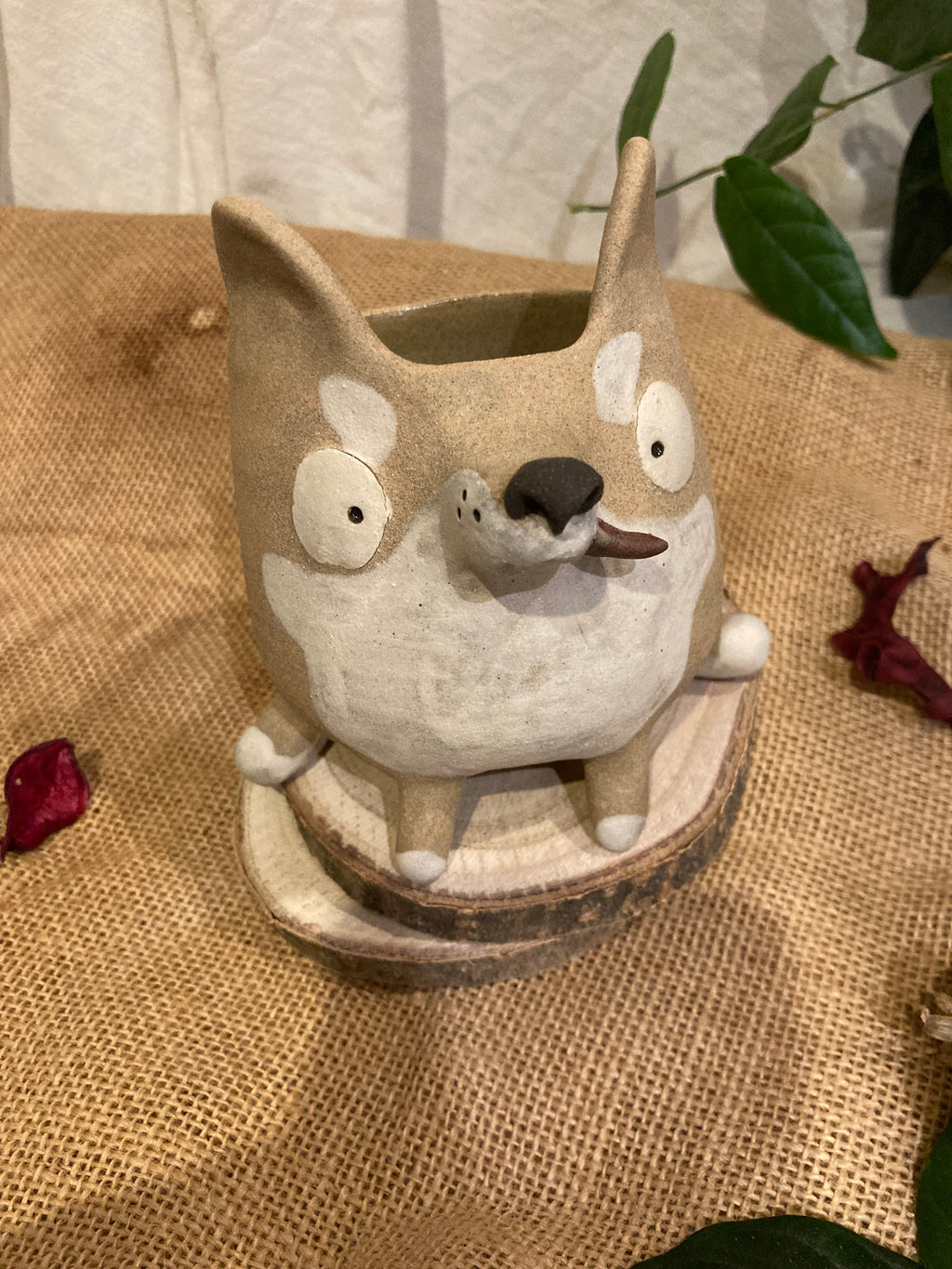 Tasse mimi Shiba Inu 🐶