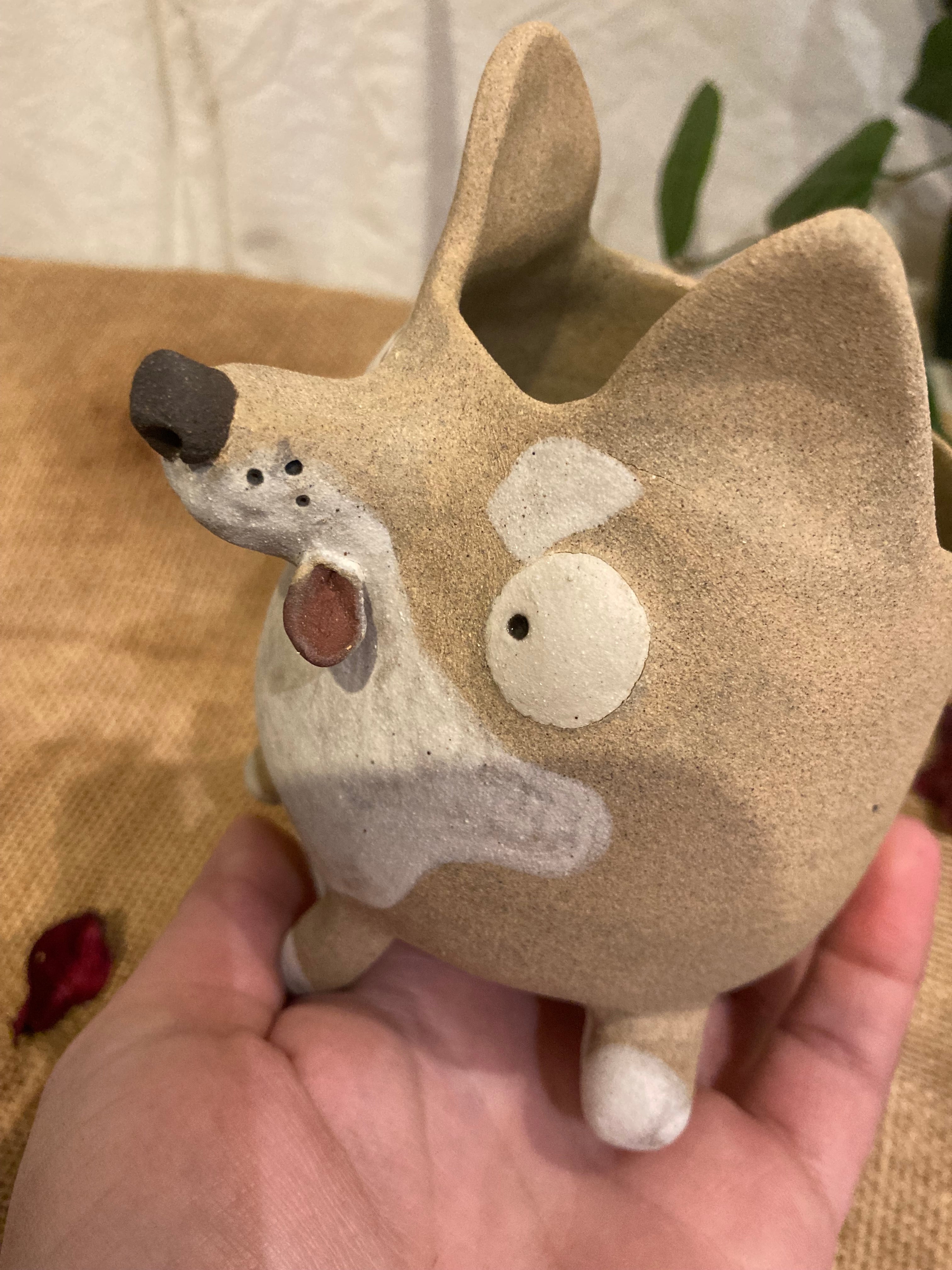 Tasse mimi Shiba Inu 🐶